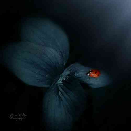  تو شدی یه آدم بد میکنی با همه فرق من دیگه نمیگم بمون گند زدی